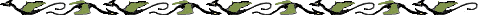 Decrative black Dragon border with green leaf wings